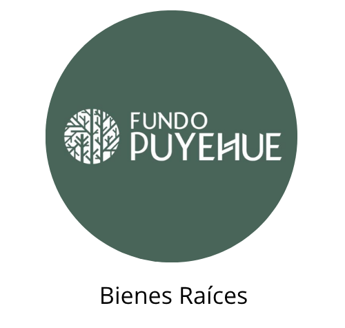 Fundo Puyehue
